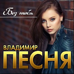 Владимир Песня