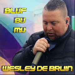 Wesley de Bruin