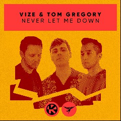 Tom Gregory & VIZE