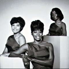 The Apollas
