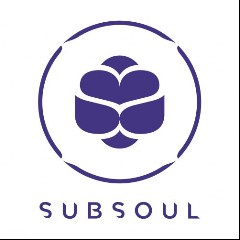 Subsoul