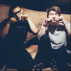 Yogi & Skrillex