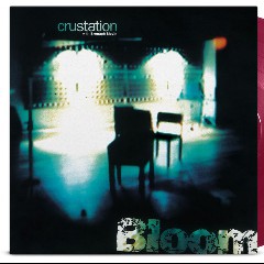 Crustation with Bronagh Slevin