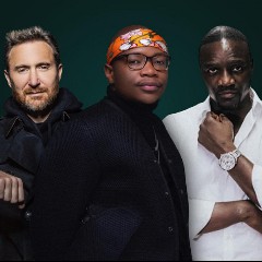 David Guetta & Akon