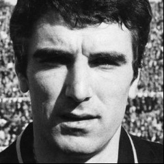 Zoff