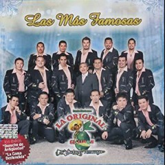 Banda El Limon