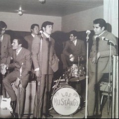Los Mustangs