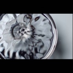 Popof + Animal And Me