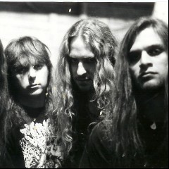 Jungle Rot