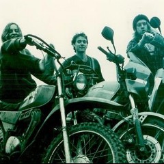 Spiderbait