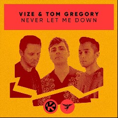 VIZE & Tom Gregory