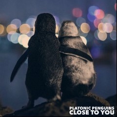 Platonic Penguins