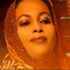 Noura Mint Seymali