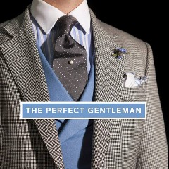 The Perfect Gentleman