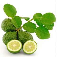 Kaffir Lime