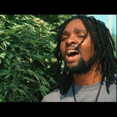 Delly Ranx
