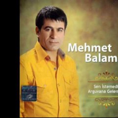 Mehmet Balaman