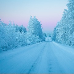 Cold Winter