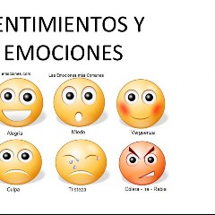 Sentimientos