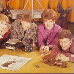 The Honeycombs
