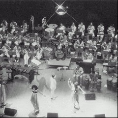 The Salsoul Strings