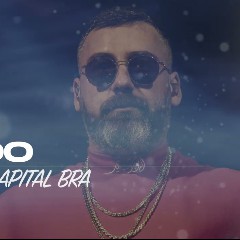 Sido feat. Capital Bra