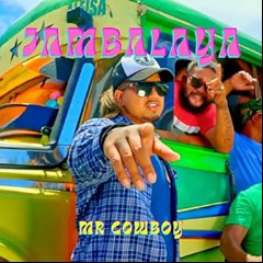 Mr Cowboy