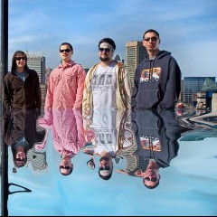 Pigeons Playing Ping Pong