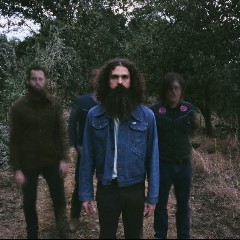 Lord Buffalo