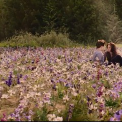 Twilight Meadow