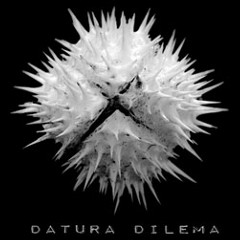 Datura Dilema