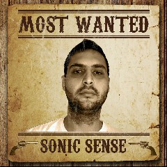 Sonic Senses