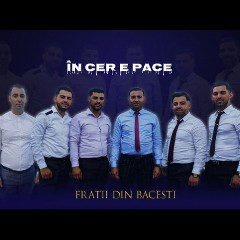Fratii din Bacesti