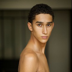 The York Models