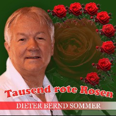 Dieter Bernd Sommer