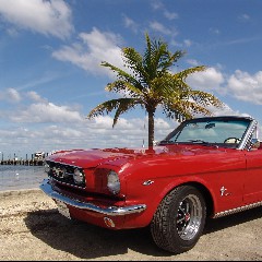 Mustang Sally