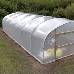 Polytunnel