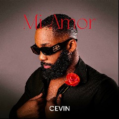 Cevin