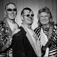 Electric Banana Band