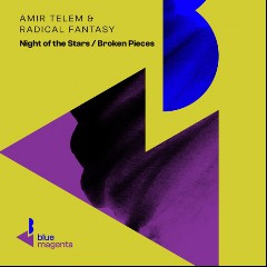 Radical Fantasy & Amir Telem