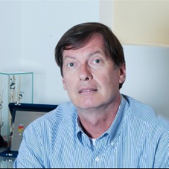 Angelo Baroncini