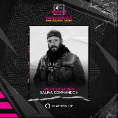 Mark Knight & Saliva Commandos