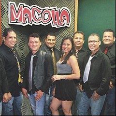 Macolla
