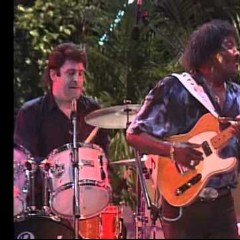 Albert Collins and the Icebreakers