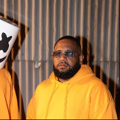 Marshmello & Carnage