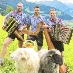 Die Halodris aus dem Zillertal