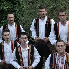 Sinovi Hercegovine