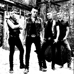 The Brains