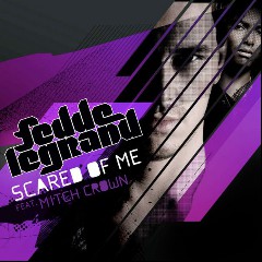 Fedde Le Grand feat. Mitch Crown