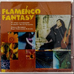 Flamenco's Fantasy